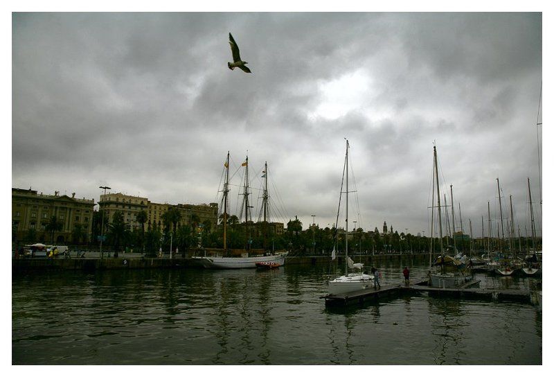 барселона, порт, чайка, яхты порт барселоны фото превью