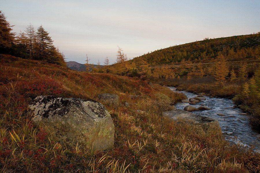 магадан, Sir Fisher