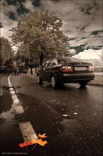 Навстречу осени.