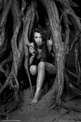 Животные инстинкты