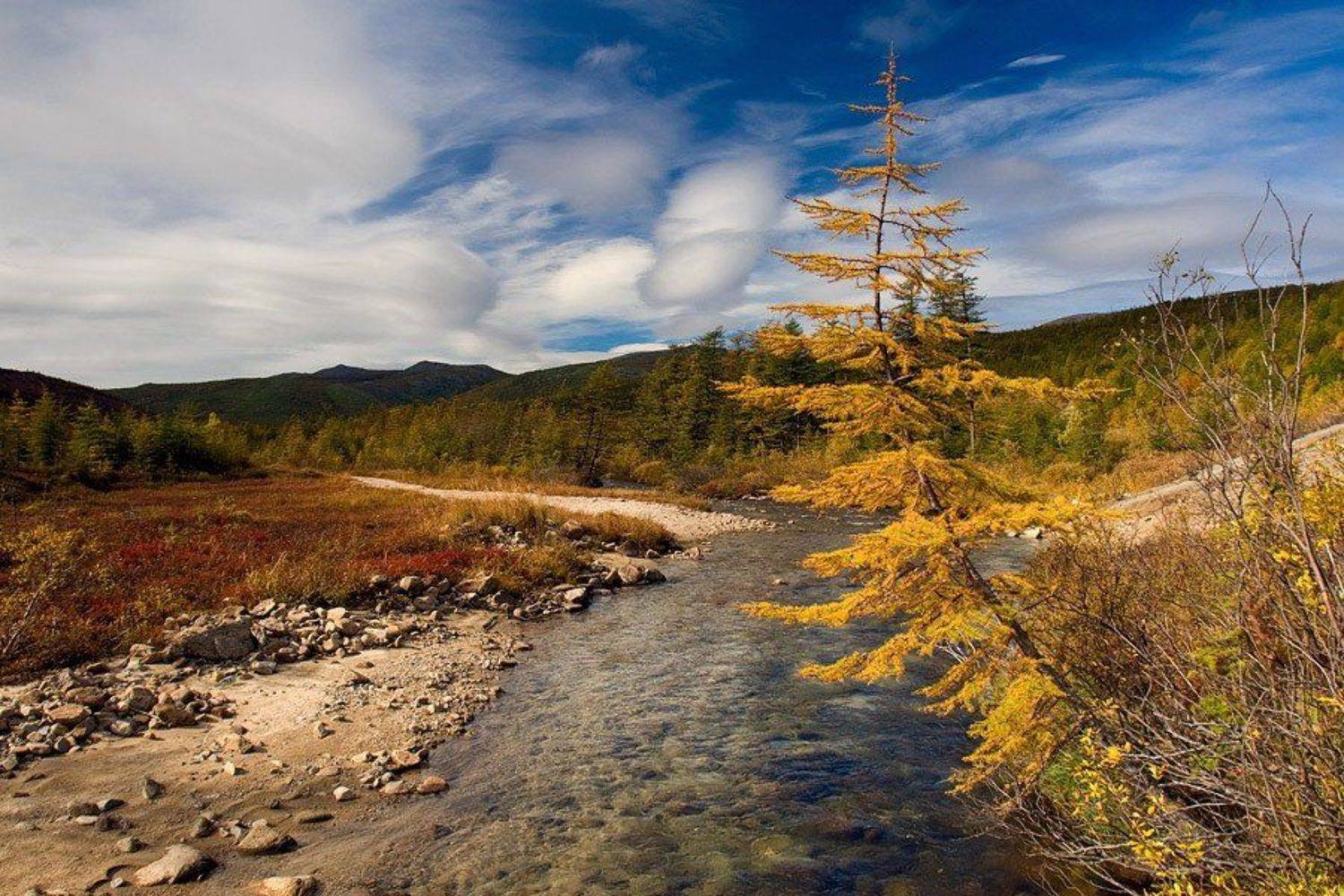 магадан, Sir Fisher