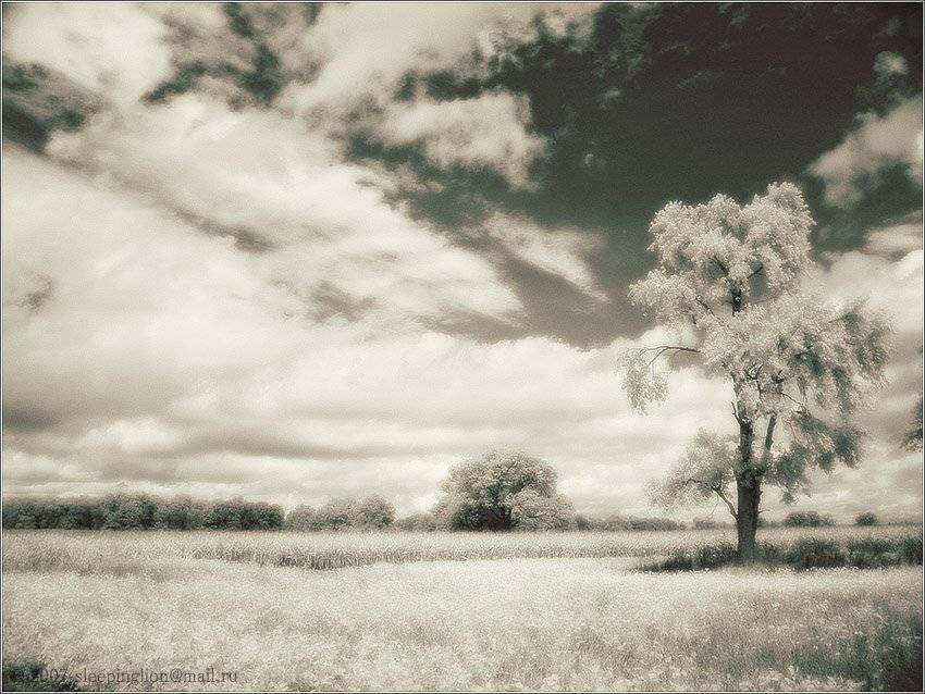 ик, пейзаж, infrared, инфракрасный, инфракрасное, pilgrim, Pilgrim