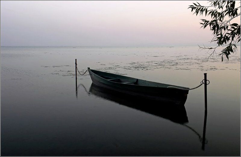 переславль, залесский, плещеево, озеро, лодка Лишь комариный писк тревожил тишину... фото превью