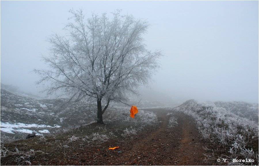, Вадько