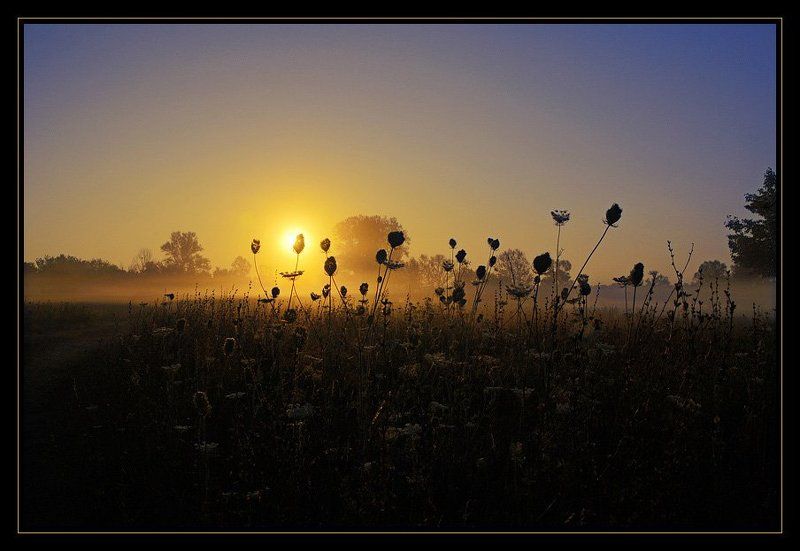 утро, рассвет, солнце, свет  фото превью
