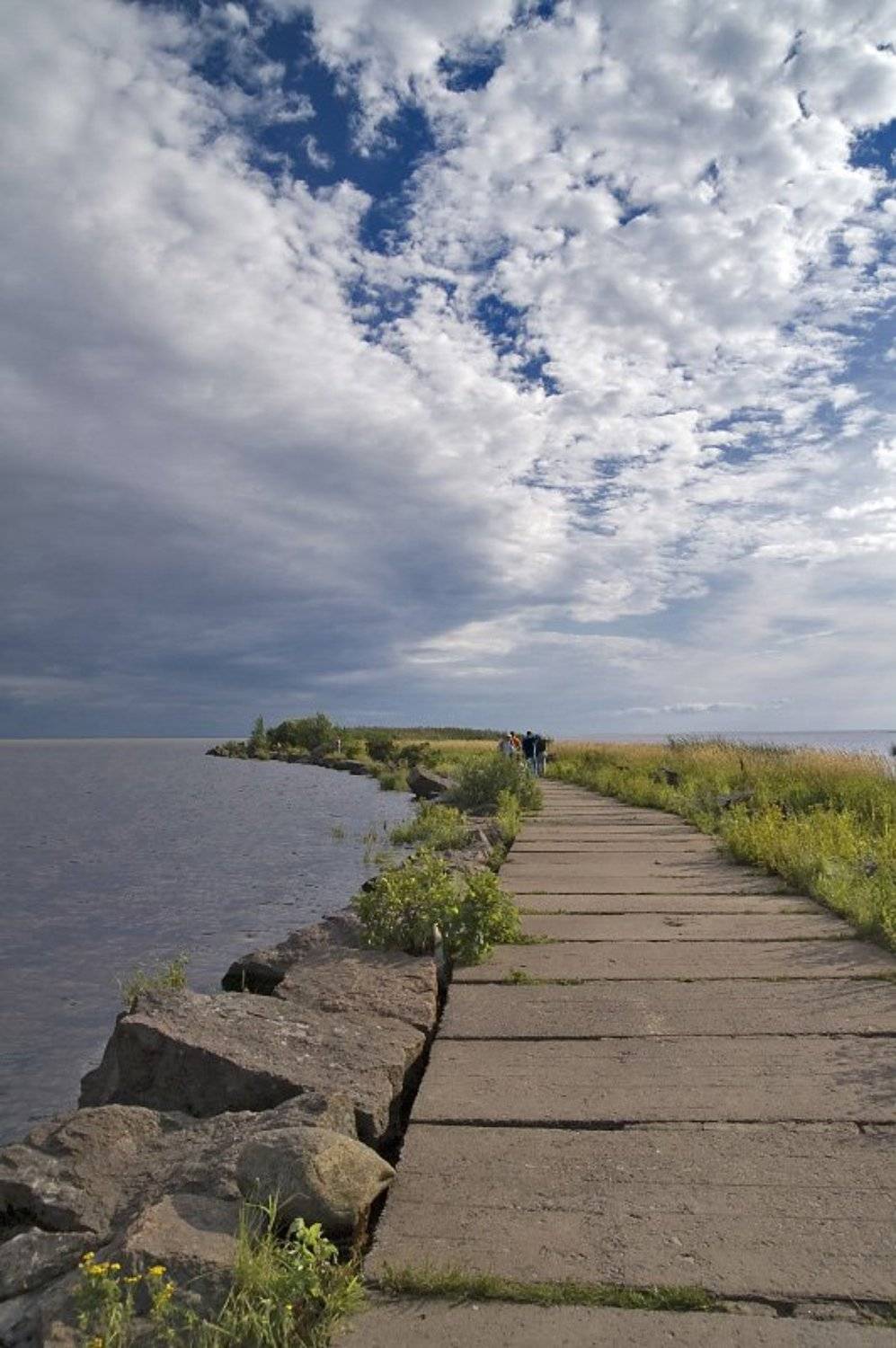 финский, залив, камень, коса, Dankost