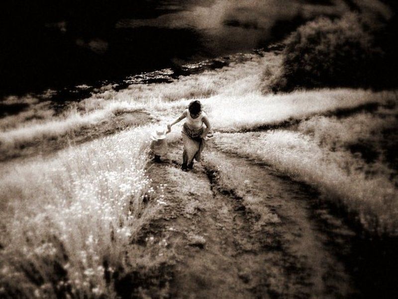 лето, ветер, дорога *** фото превью