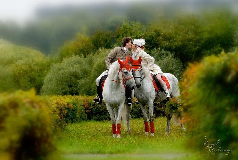 свадьба,лошади,осень,зеленоград Погода свадьбе не помеха.... фото превью