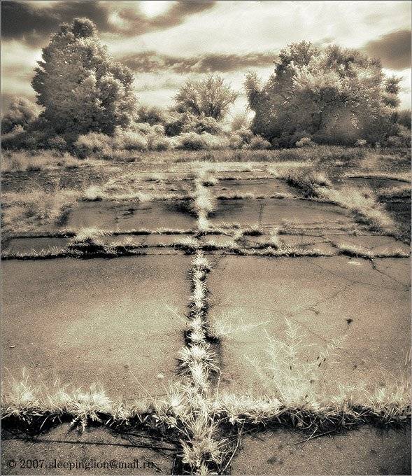 ик, пейзаж, infrared, инфракрасный, инфракрасное, pilgrim, Pilgrim