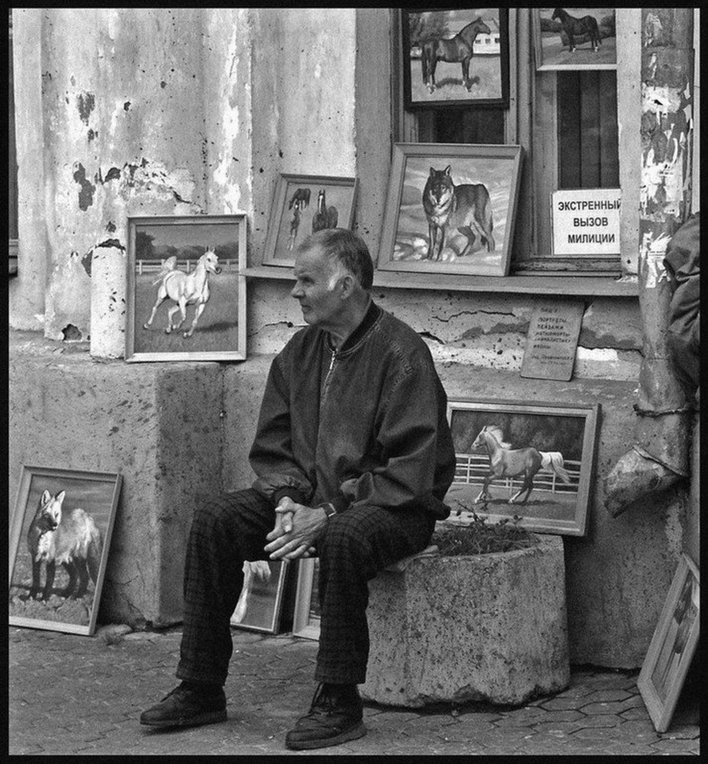 город, ярославль, портрет, художник, картина, Старый мудрый КА