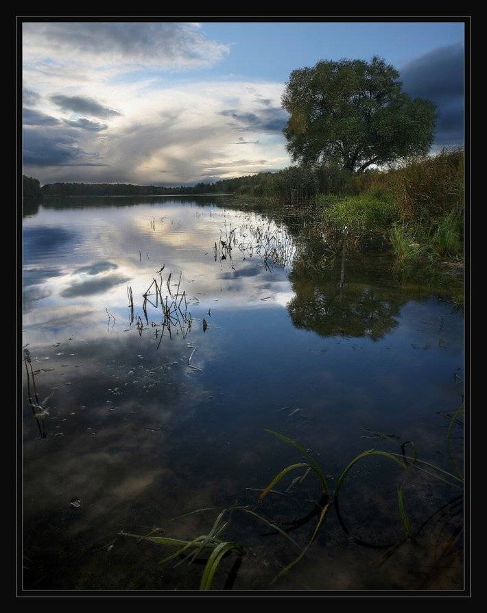 , Сергей Прокошин