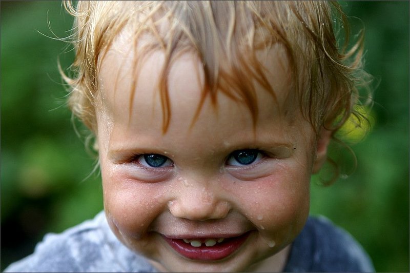 дети вечная тема Хитрюга... фото превью