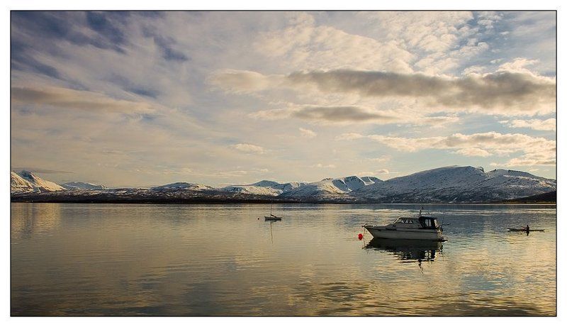Погожим летним вечером.. фото превью