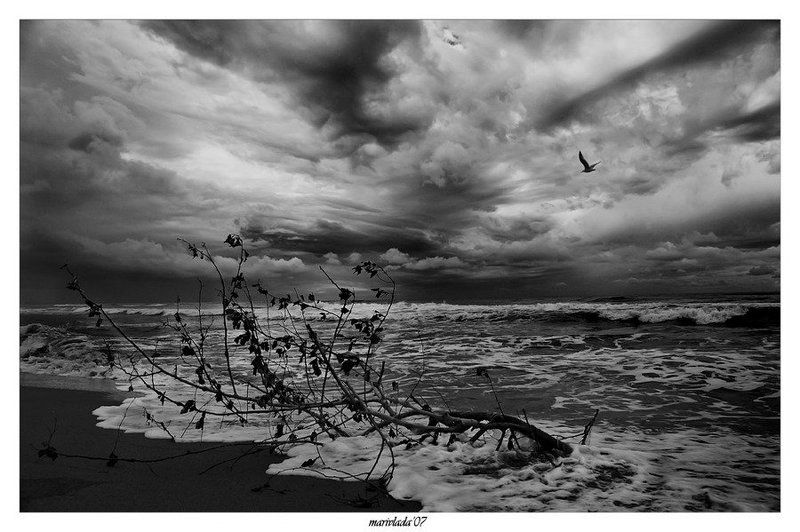 Непляжный сезон фото превью