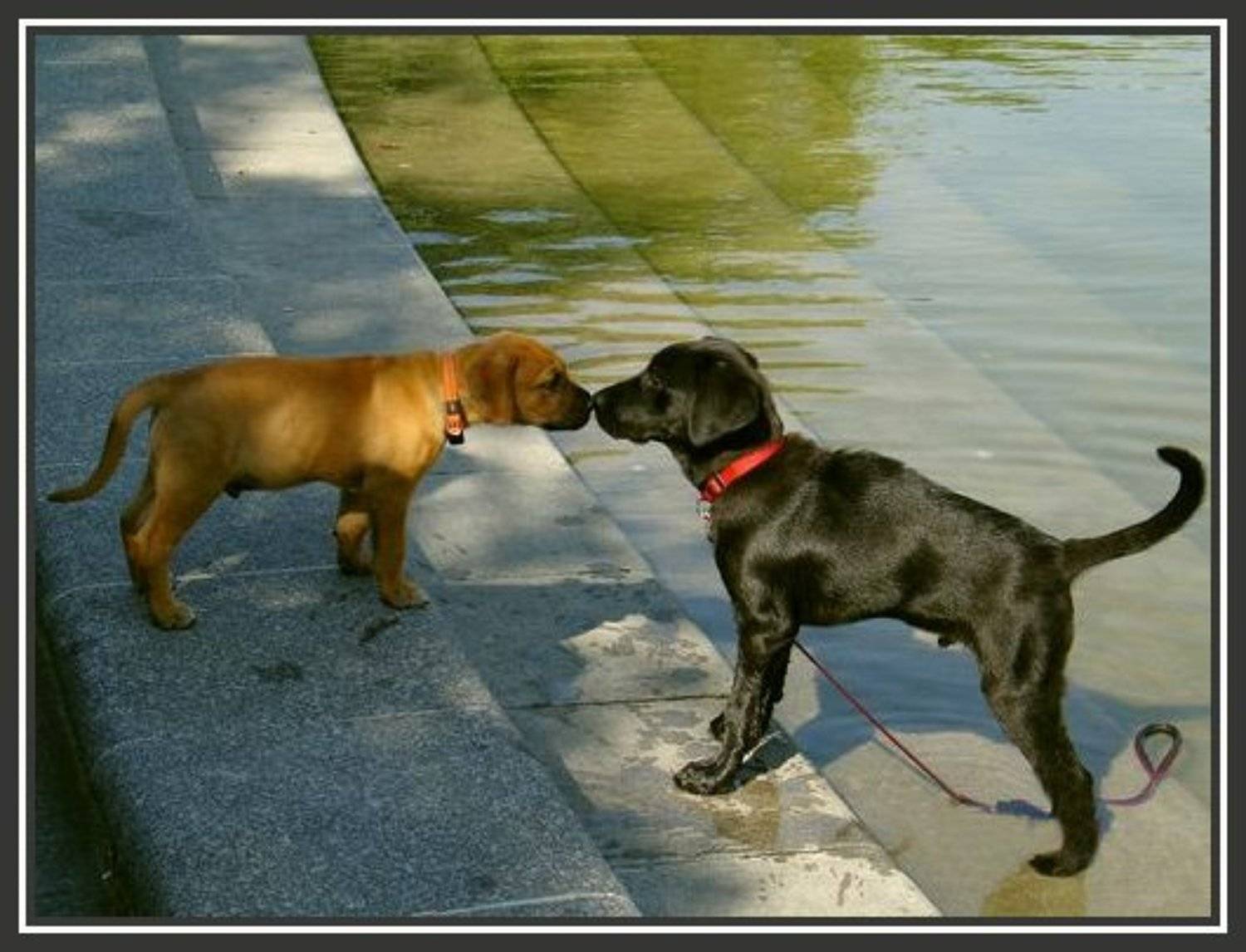 вена, июль, знакомство, Liz