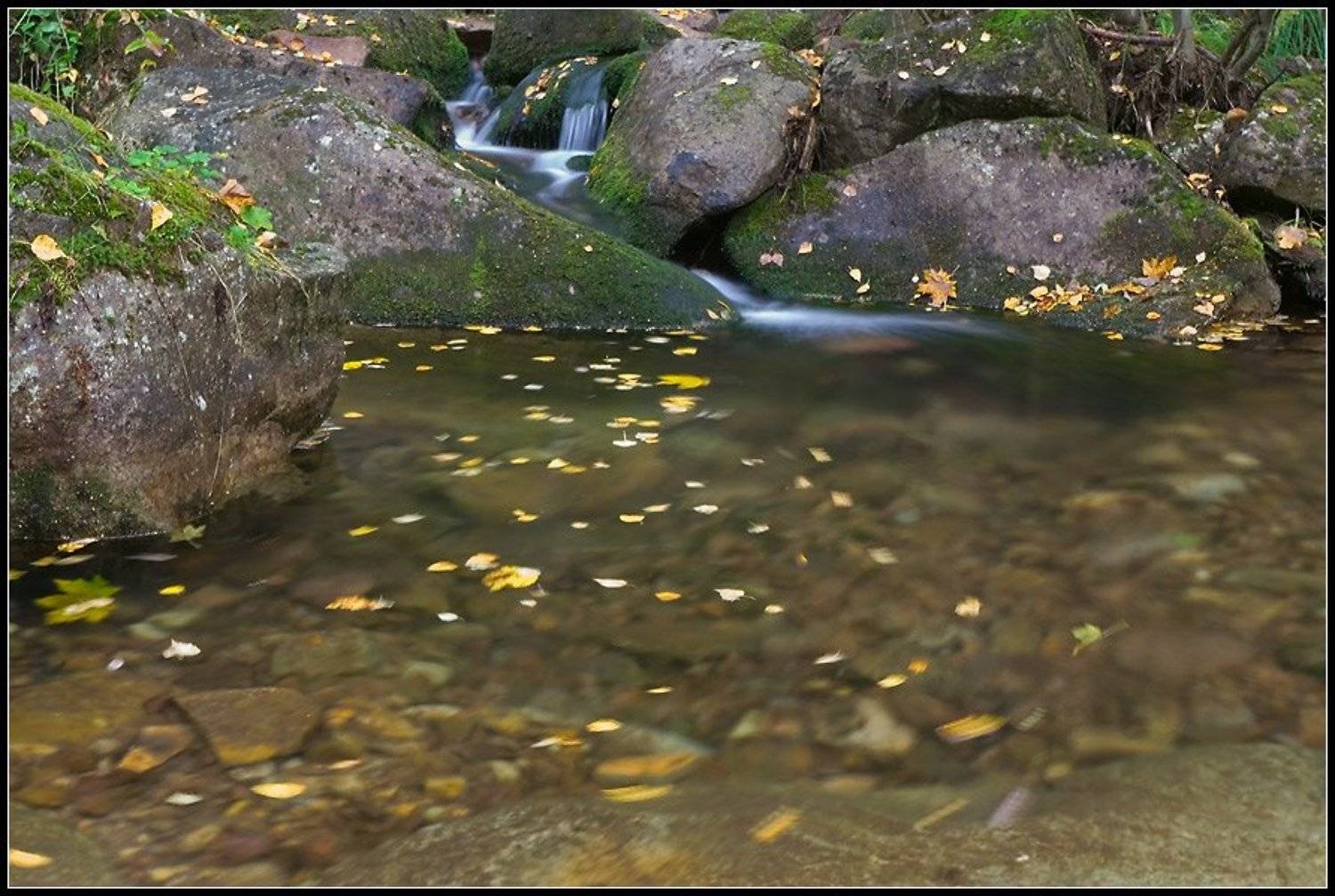 ашинский распадок, аджигардак, снеговой, Степанов Сергей