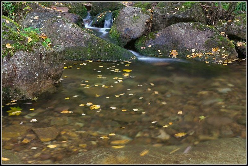 ашинский распадок, аджигардак, снеговой И кружит осень листья фото превью