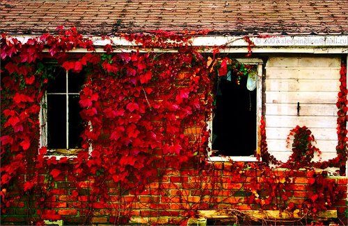 Somewhere... nowhere...