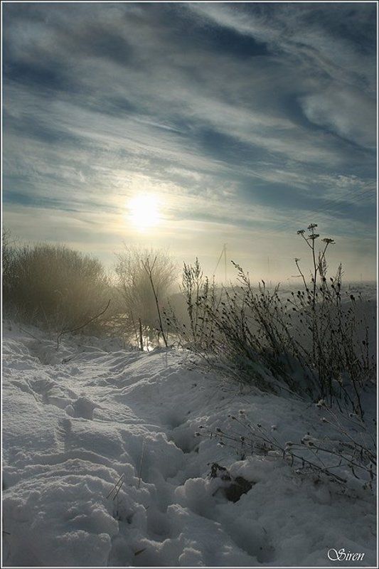 Зимние туманы фото превью