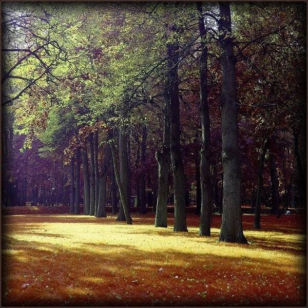 осень, парк, фантазия, senjor