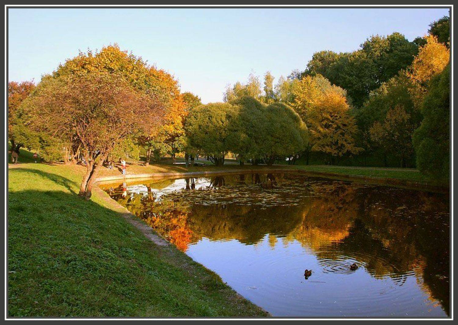 осень , коломенское, Алексей