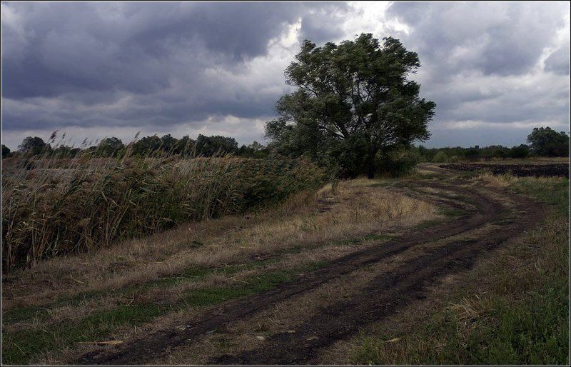 Кажется дождь собирается... фото превью