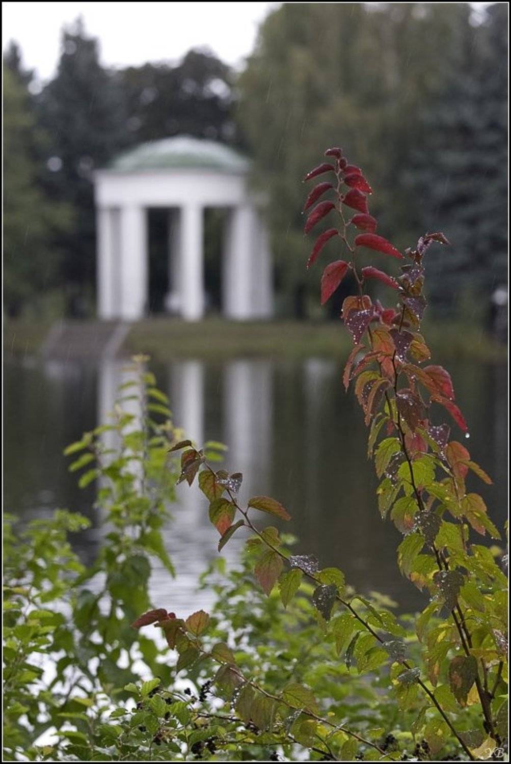 осень, Братаев Юра