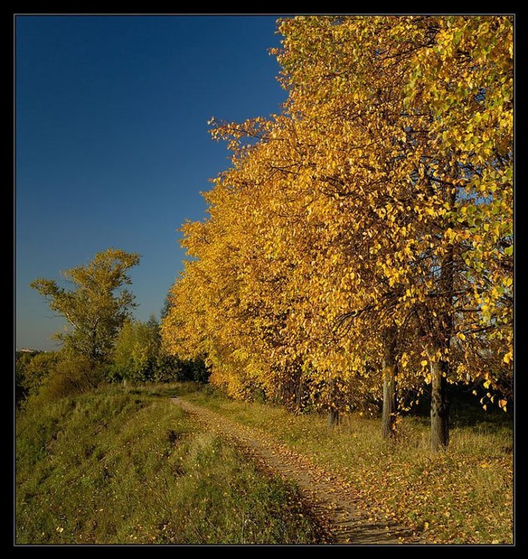 осень, москва Das Herbst фото превью