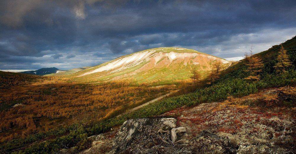 магадан, Sir Fisher