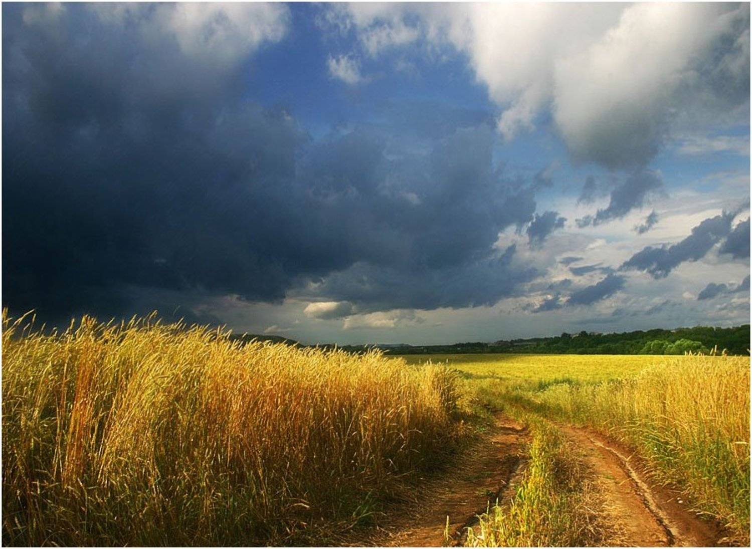 , Михаил Курцев