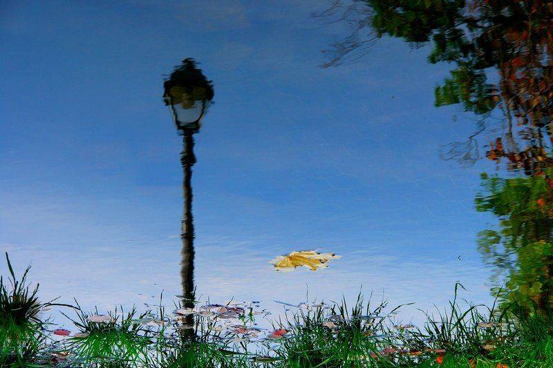 осень, лужа, отражение, senjor