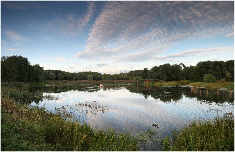 москва, вечер, серебряный бор Москва-пейзажная фото превью