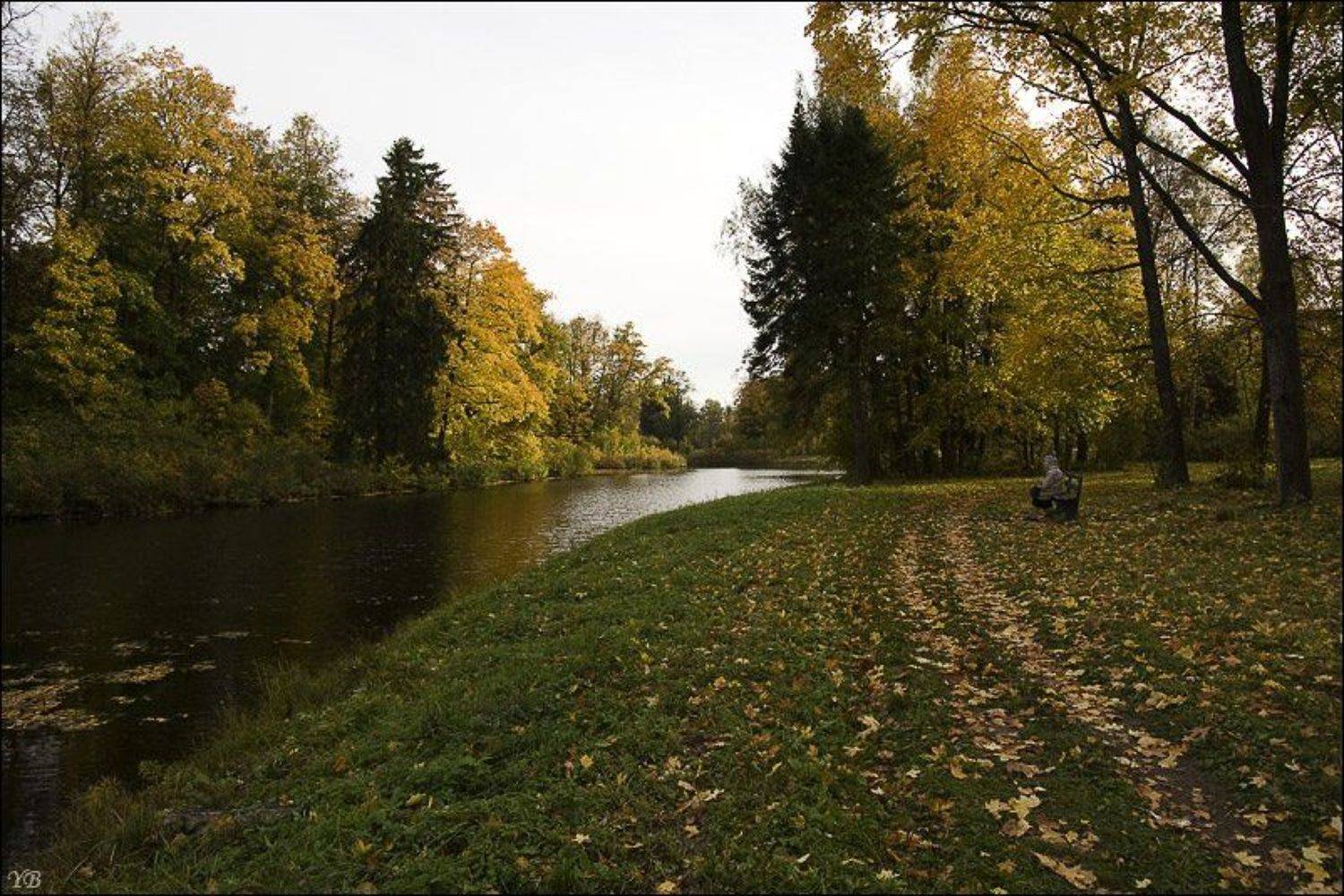 павловск, осень, Братаев Юра