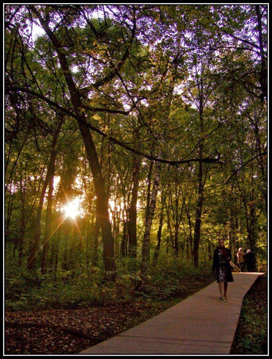 осень, воробьёвы горы, девушка, солнце, дорожка, Алёна