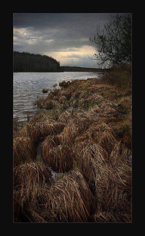 , Сергей Прокошин