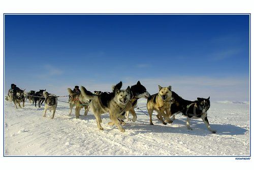 Честная борьба