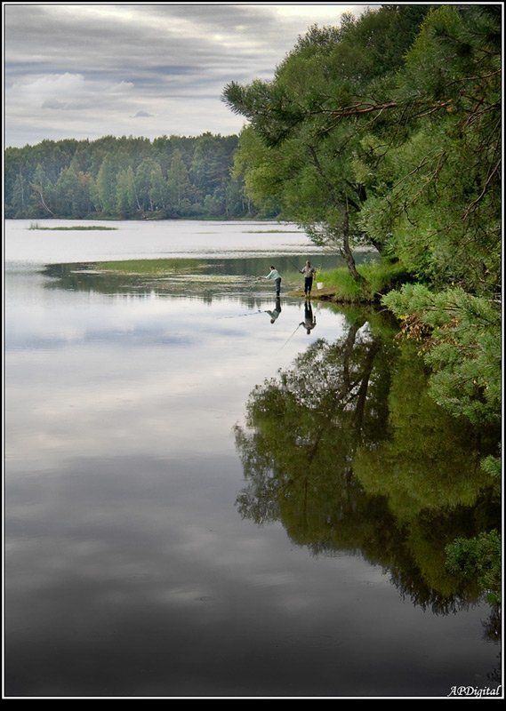 рыбалка залив лето Тихая заводь фото превью