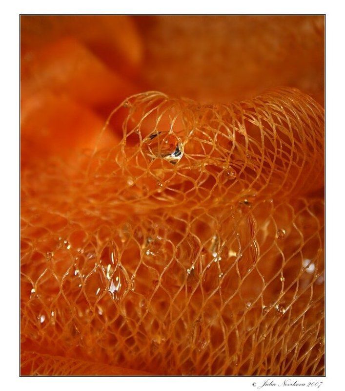 принцесса, рыжая, капелька Princess. фото превью