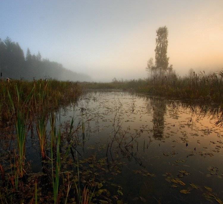 , Владимир Липецких