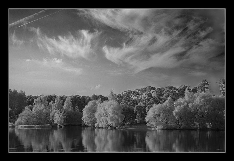 ик, infrared, осень НЕ краски осени фото превью