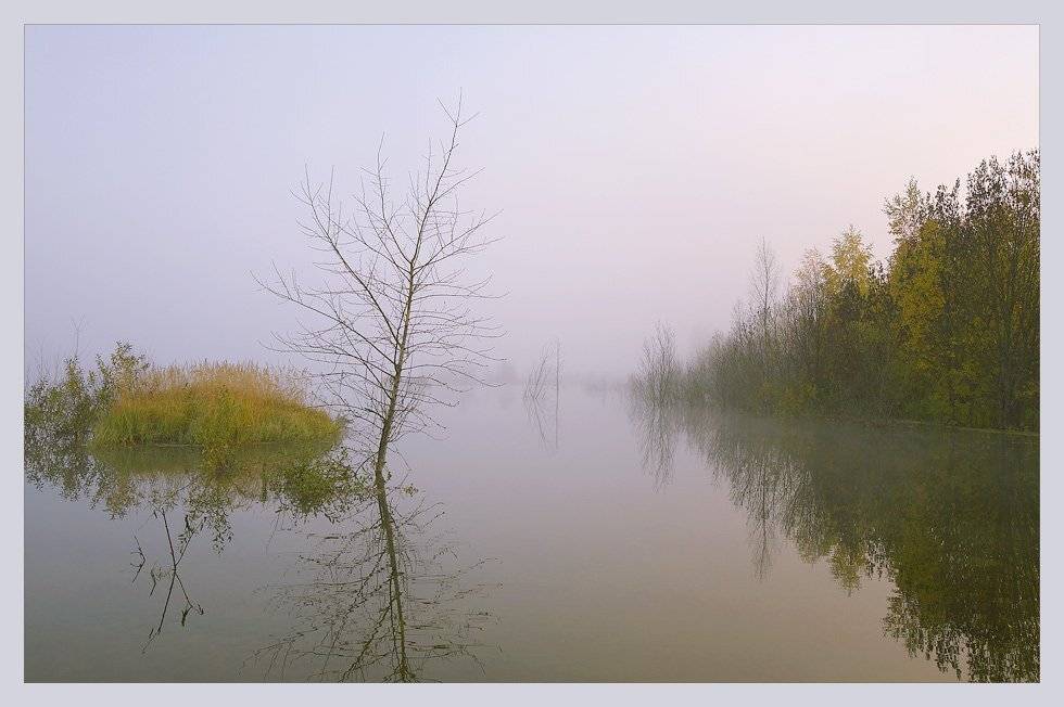 , Марина Кочетова