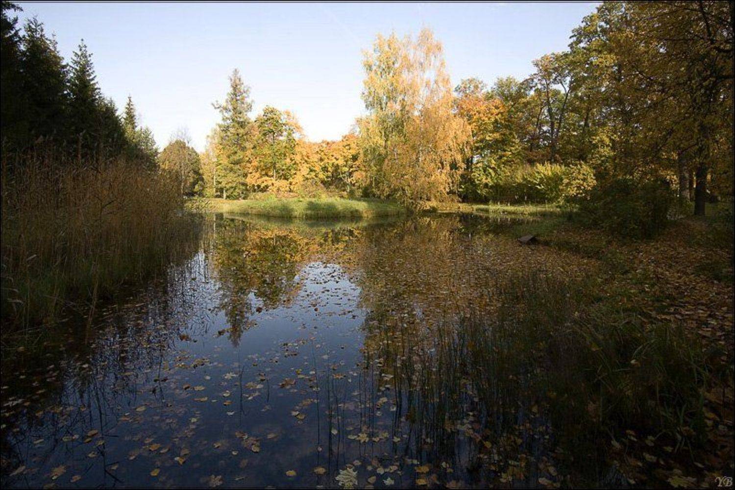 пушкин, Братаев Юра