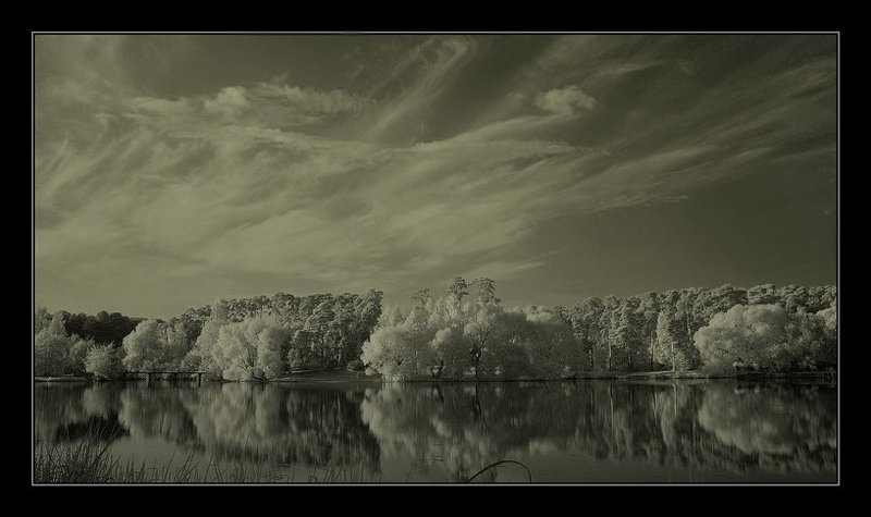 ик, infrared, осень НЕ краски осени 2 фото превью
