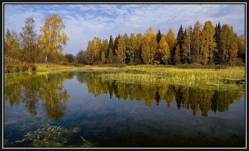 Осень золотая