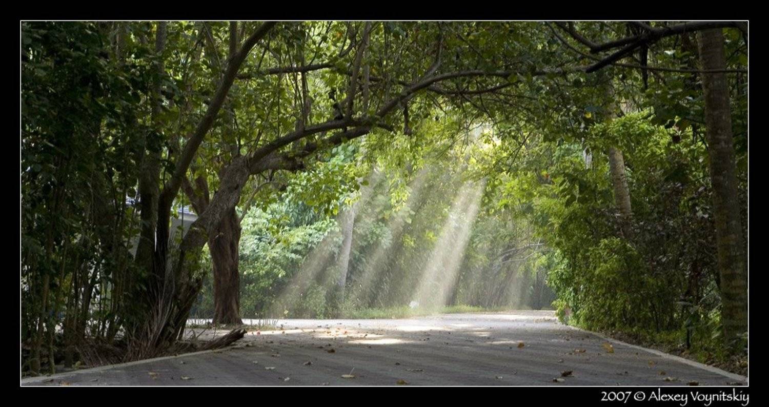 мальдивские острова мальдивы san island рассвет, Алексей Войницкий