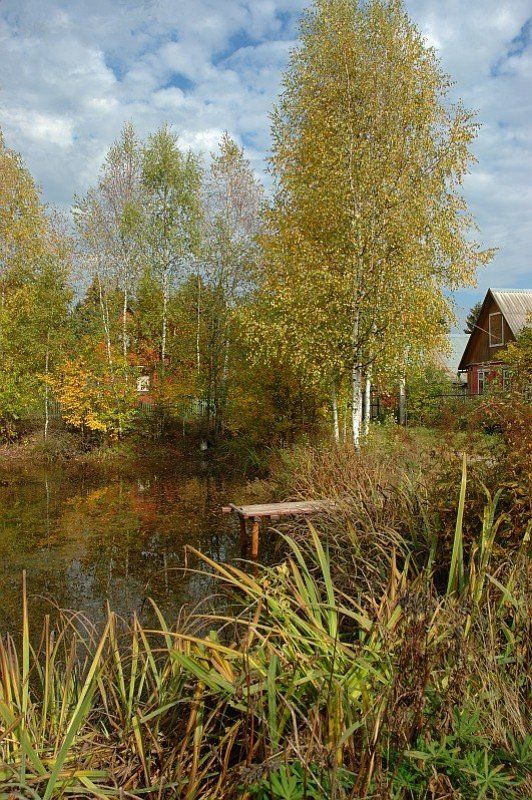 и снова осень фото превью