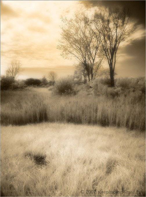 ик, пейзаж, infrared, инфракрасный, инфракрасное, pilgrim, Pilgrim