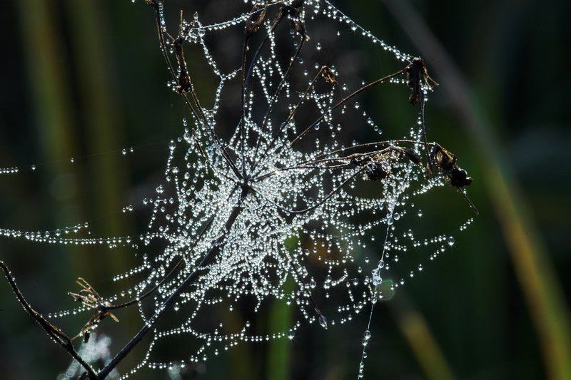 ожерелье осени  фото превью
