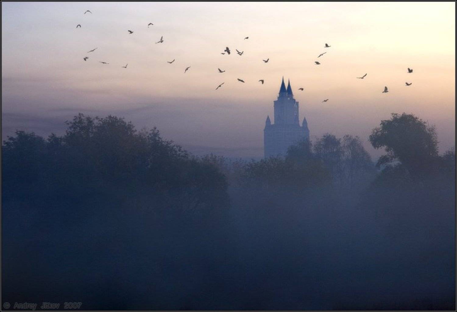 утро, туман, эдельвейс, ворон, Андрей Житков