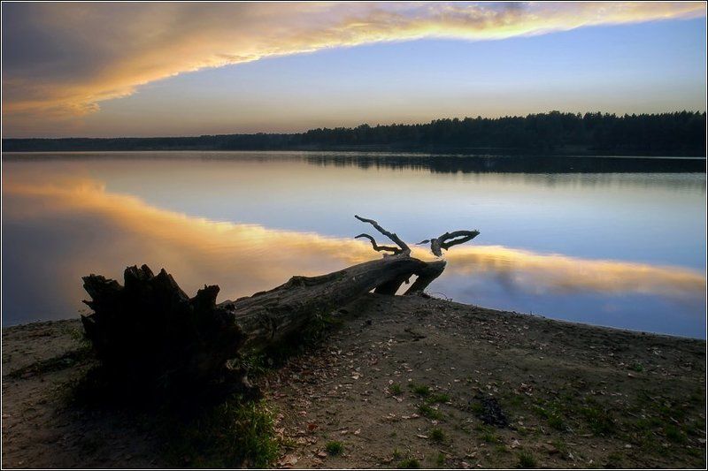 бисерово, озеро, закат, золото, дерево Небесное золото фото превью